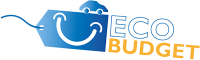 ECOBUDGET Lichid de parbriz