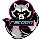 Zmes do ostrekovačov Racoon SEE THROUGH - Passat B5 GP Kombi (3BG, 3B6) 11.2001 roku
