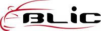 BLIC Griglia paraurti