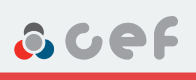 CEF Спирачен маркуч