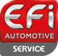 EFI AUTOMOTIVE Kit cavi candele