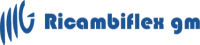 %CATEGORY_NAME% RICAMBIFLEX GM SANTANA