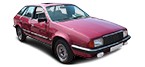 AUSTIN AMBASSADOR automobilių dalys pirkti nebrangu