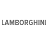 Bremseskive SHW Performance LAMBORGHINI