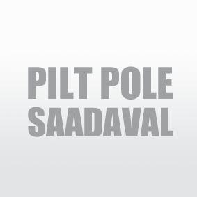 Dr!ve+ DP1010.11.1664: Piduriketas Ø: 241mm, õhutusega, Ø: 241mm