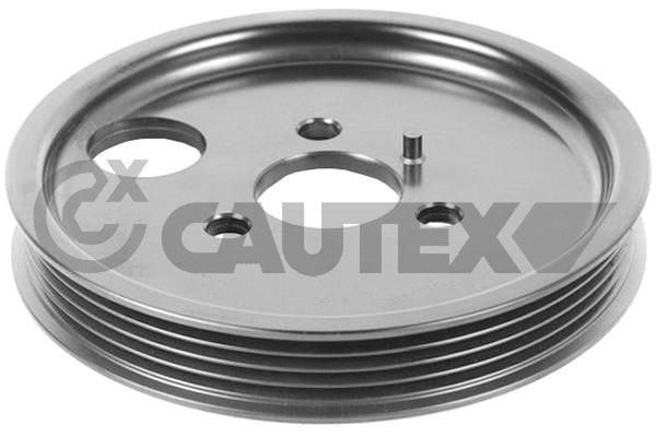 CAUTEX 770176: Riemenscheibe, Servopumpe
