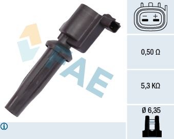 FAE 80231: Süütepool