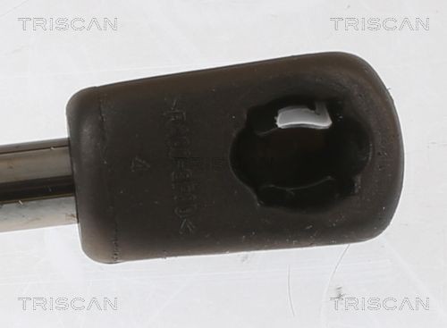 TRISCAN 8120 21104: Disco de freno macizo
