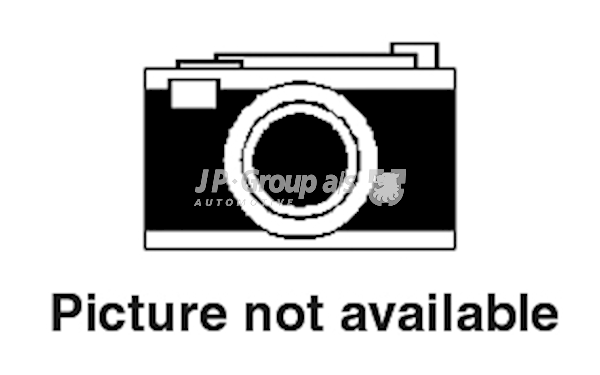 JP GROUP 4863201109: Bremsscheibe Hinterachse, Ø: 258mm, voll, QH