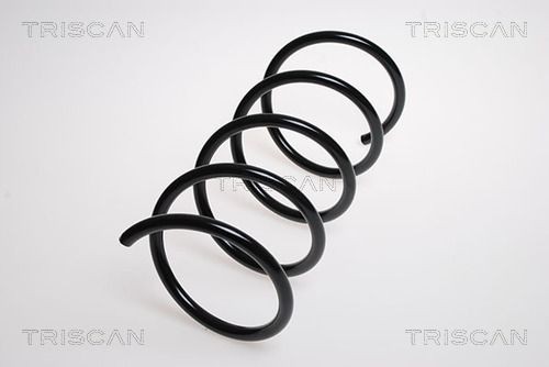 TRISCAN 8750 23109: Chassisveer Vooras
