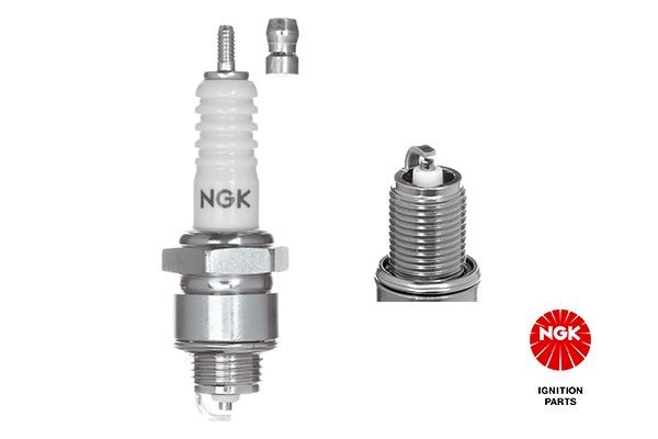 NGK 7529: Bujía de encendido Ancho de llave: 20,8 mm