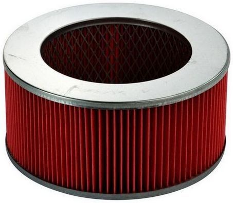 DENCKERMANN A140173: Filtro aria