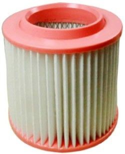 DENCKERMANN A141238: Filtro aria