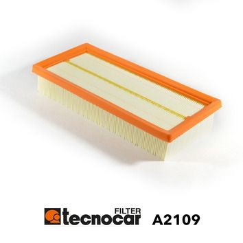 TECNOCAR A2109: Gaisa filtrs