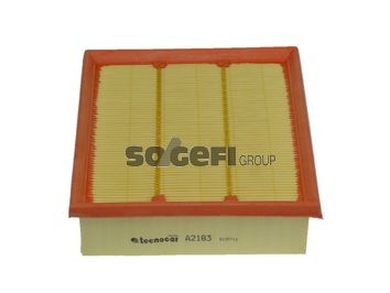 TECNOCAR A2186: Gaisa filtrs