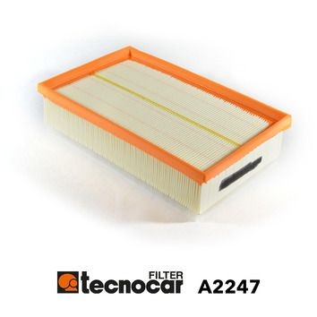 TECNOCAR A2247: Gaisa filtrs