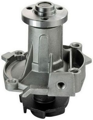 DENCKERMANN A310199P: Pompe à eau