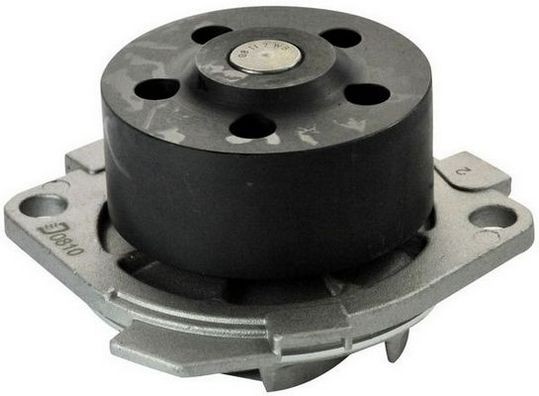 DENCKERMANN A310756P: Pompe à eau