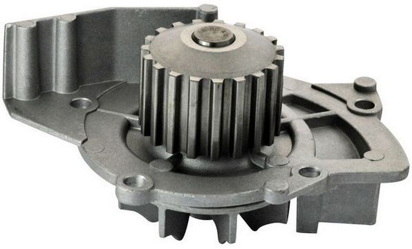 DENCKERMANN A310796P: Pompe à eau Nbr. dents: 19