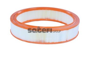TECNOCAR A409 Luftfilter