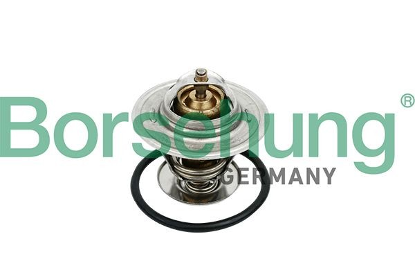 Borsehung B18259: Termostat, lichid racire 87°C