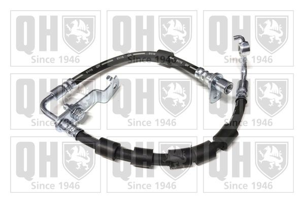 QUINTON HAZELL BFH6019: Спирачен маркуч 272mm