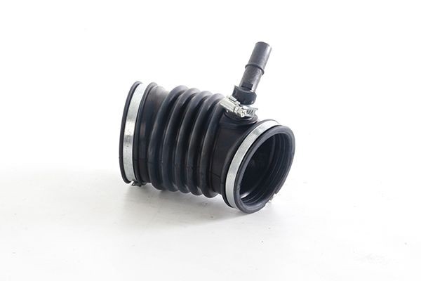 BSG BSG 30-720-125: Voolik,Õhuvarustus