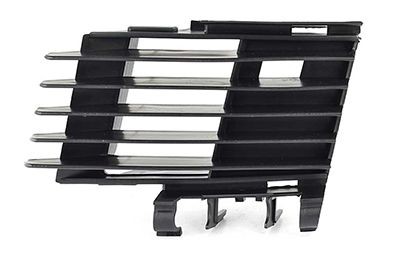 BSG BSG 65-922-029: Griglia paraurti Sx, Dx, con foro/fori per fendinebbia