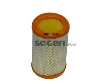 FRAM CA8774: Gaisa filtrs