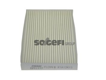 FRAM CF11177: Filtro abitacolo Filtro antipolline
