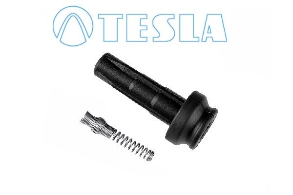 TESLA CP073: Pistik, süüteküünal