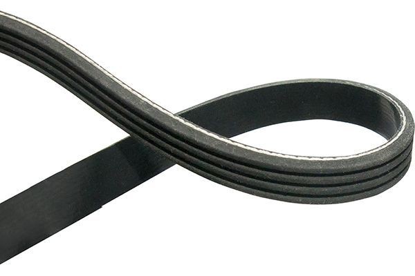 KAVO PARTS DMV-1529: Kilerem 1590mm, Rippenanzahl: 4