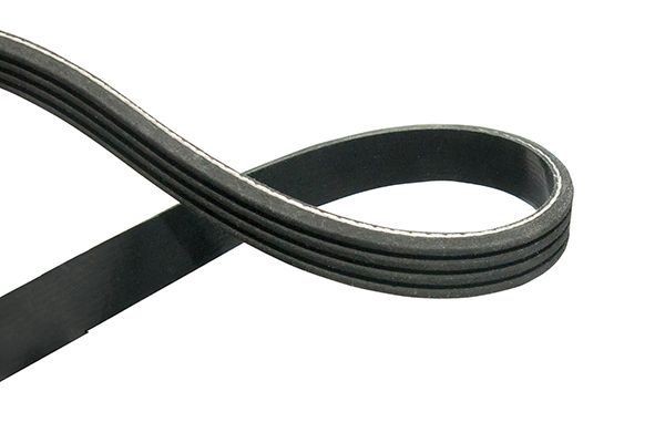 KAVO PARTS DMV-1530: Kilerem 1745mm, Rippenanzahl: 4