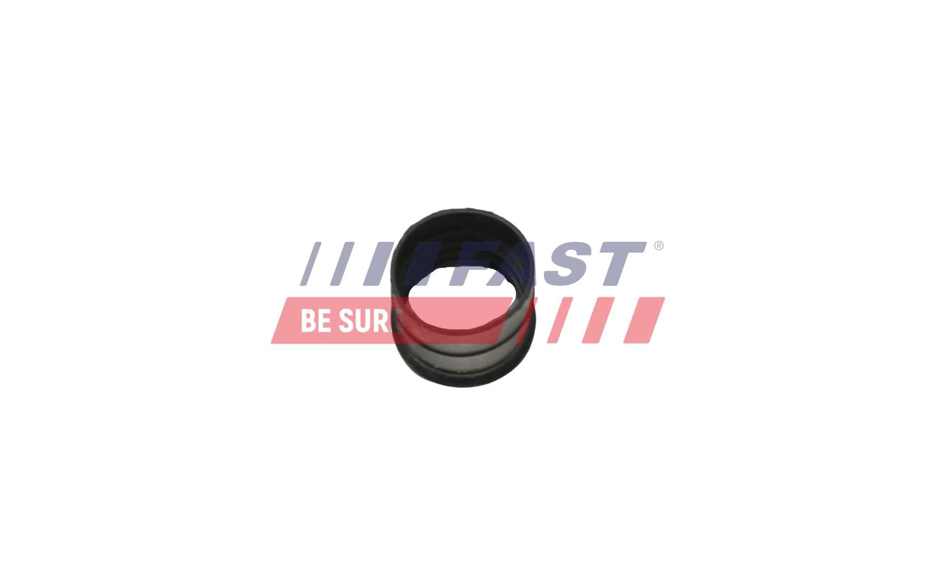 FAST FT57145: Pompe à eau sans cache