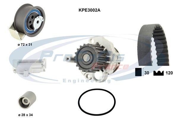 PROCODIS FRANCE KPE3002A: Kit cinghia distribuzione, pompa acqua N° denti: 120, con guarnizioni, con ammortizzatore serraggio, Rullo tenditore, con tirante a vite