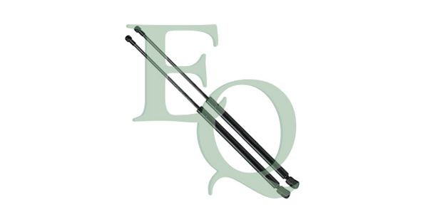 EQUAL QUALITY MG26071: Gaasivedru, pagasi- / veoruum kahepoolne, 690mm