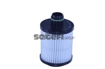 TECNOCAR OP411: Oliefilter