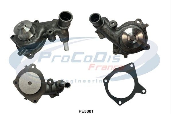 PROCODIS FRANCE PE5001: Pompe à eau avec joints