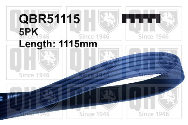 QUINTON HAZELL QBR51115: Curea transmisie cu caneluri 1115mm, Numar nervuri: 5