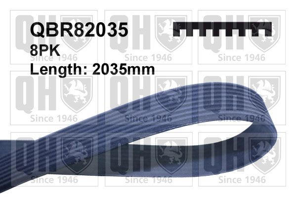QUINTON HAZELL QBR82035: Curea transmisie cu caneluri 2035mm, Numar nervuri: 8