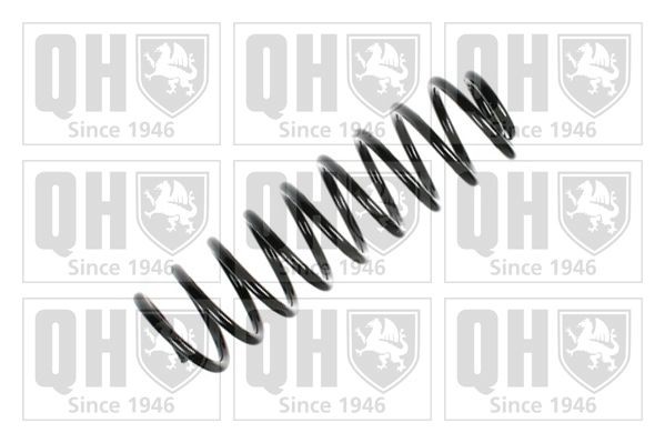 QUINTON HAZELL QCS5733: Chassisveer Achteras