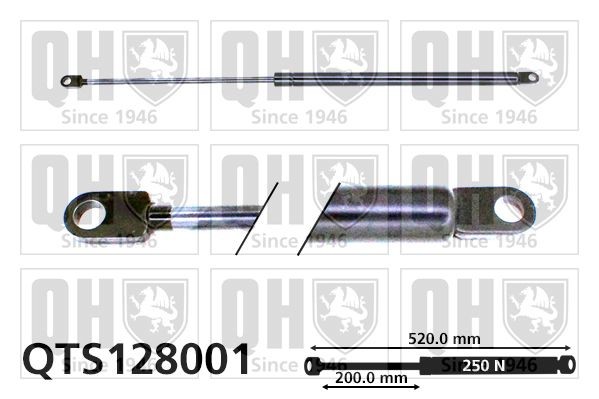 QUINTON HAZELL QTS128001: Газов амортисьор, багажно / товарно пространство 520mm
