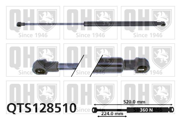 QUINTON HAZELL QTS128510: Gaasivedru, pagasi- / veoruum 520mm