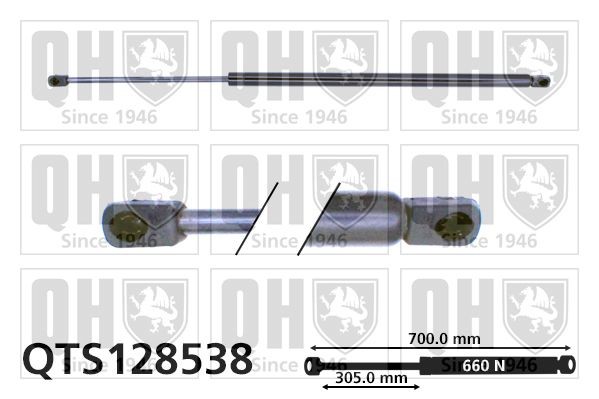 QUINTON HAZELL QTS128538: Газов амортисьор, багажно / товарно пространство 700mm