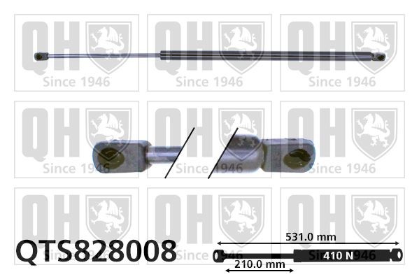 QUINTON HAZELL QTS828008: Газов амортисьор, багажно / товарно пространство 531mm