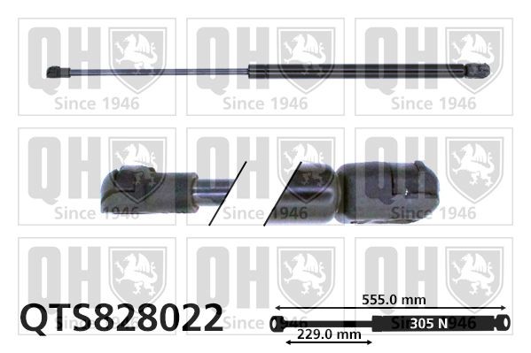 QUINTON HAZELL QTS828022: Газов амортисьор, багажно / товарно пространство 555mm