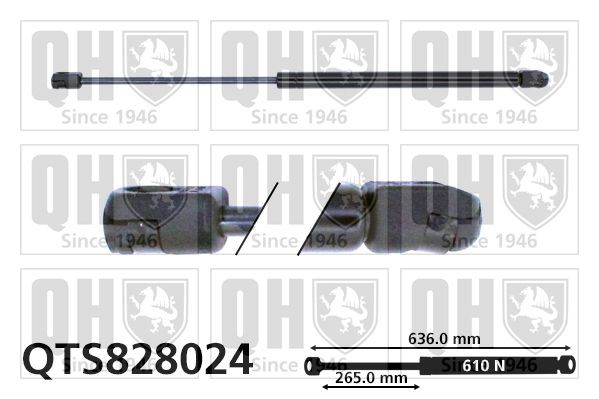 QUINTON HAZELL QTS828024: Gāzes atspere, Bagāžas / Kravas nodalījuma vāks 636mm