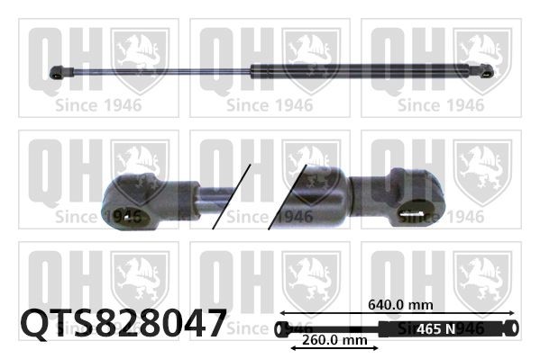 QUINTON HAZELL QTS828047: Газов амортисьор, багажно / товарно пространство 640mm