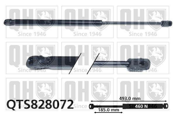QUINTON HAZELL QTS828072: Gāzes atspere, Bagāžas / Kravas nodalījuma vāks 493mm