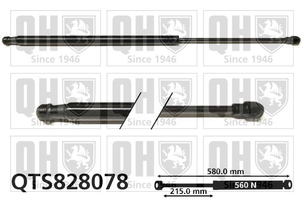 QUINTON HAZELL QTS828078: Gāzes atspere, Bagāžas / Kravas nodalījuma vāks 580mm